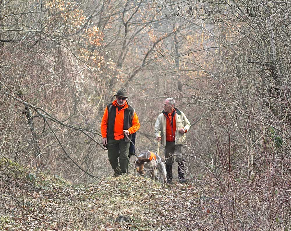 IMG_0916 - Versione 2