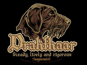 Drahthaar: steady, lively and vigorous.