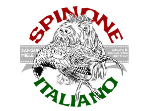 italian spinone in pheasant retrieve