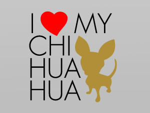 I love my chihuahua