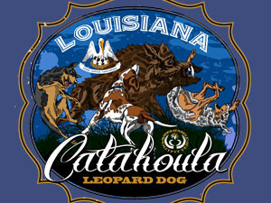 Catahoula, Original Louisiana Dog.