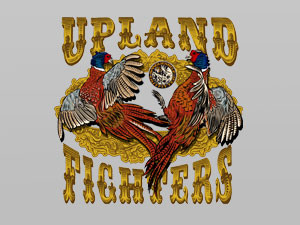 Pheasant, the Upland fighter